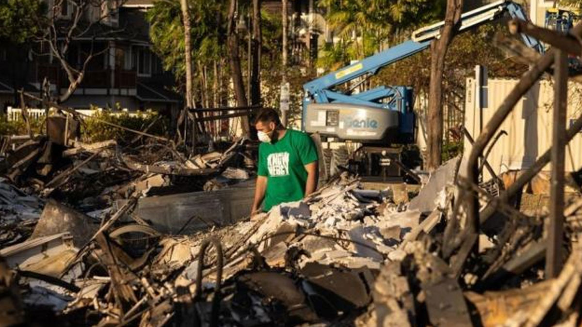 Hawaii wildfires: Crews may find 10 to 20 wildfire victims a day - governor