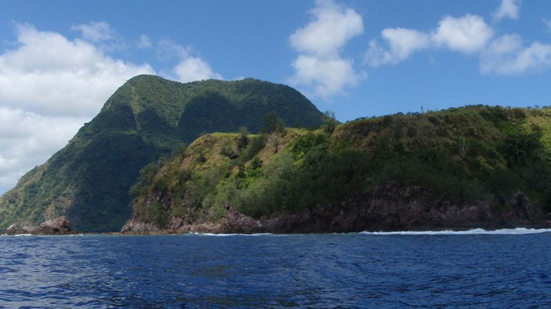 A case of leptospirosis has been recorded in Kadavu