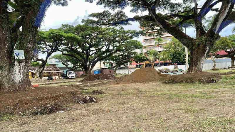 All trees will remain unharmed during Ratu Sukuna Park upgrade – Suva City  Council